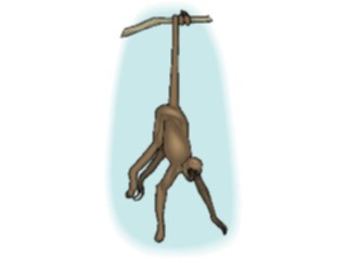 Sticker Custom Preview Image #024983 Animals Land Animals Monkey Spider