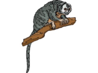 Sticker Custom Preview Image #024984 Animals Land Animals Monkey Squirrel1