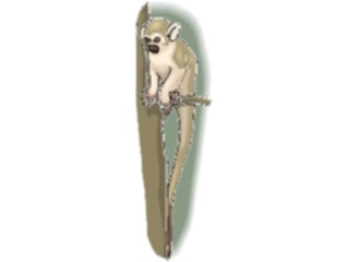 Sticker Custom Preview Image #024985 Animals Land Animals Monkey Squirrel2