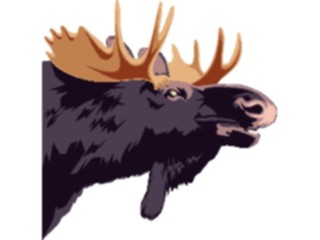 Sticker Custom Preview Image #024987 Animals Land Animals Moose02