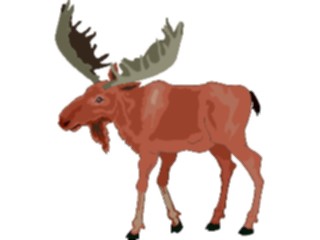 Sticker Custom Preview Image #024990 Animals Land Animals Moose05