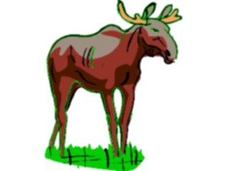 Sticker Custom Preview Image #024991 Animals Land Animals Moose06