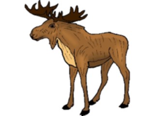 Sticker Custom Preview Image #024997 Animals Land Animals Moose12