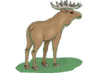 Sticker Custom Preview Image #024998 Animals Land Animals Moose13