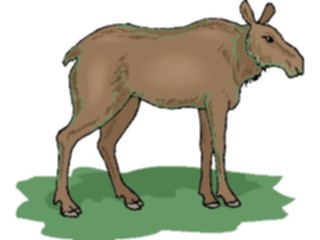 Sticker Custom Preview Image #024999 Animals Land Animals Moose14