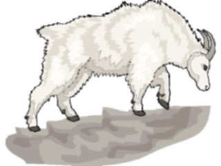 Sticker Custom Preview Image #025006 Animals Land Animals Mountain Goat07
