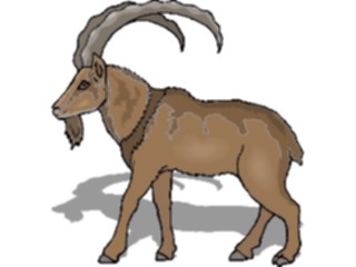 Sticker Custom Preview Image #025008 Animals Land Animals Mountain Goat09