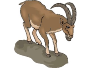 Sticker Custom Preview Image #025009 Animals Land Animals Mountain Goat10