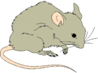 Sticker Custom Preview Image #025013 Animals Land Animals Mouse03