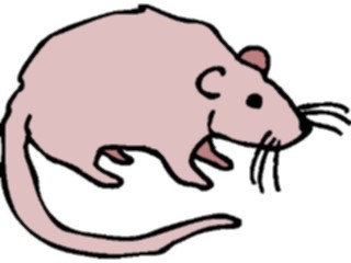 Sticker Custom Preview Image #025016 Animals Land Animals Mouse06