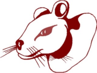 Sticker Custom Preview Image #025018 Animals Land Animals Mouse08