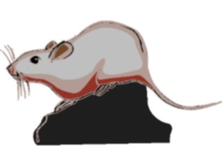 Sticker Custom Preview Image #025023 Animals Land Animals Mouse13