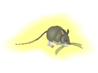 Sticker Custom Preview Image #025025 Animals Land Animals Mouse15