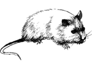 Sticker Custom Preview Image #025028 Animals Land Animals Mouse18