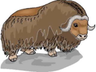 Sticker Custom Preview Image #025039 Animals Land Animals Musk Ox4