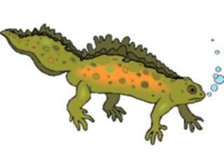 Sticker Custom Preview Image #025043 Animals Land Animals Newt1