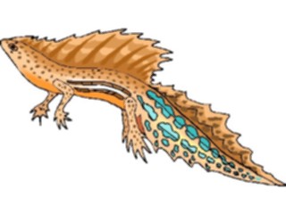 Sticker Custom Preview Image #025044 Animals Land Animals Newt2