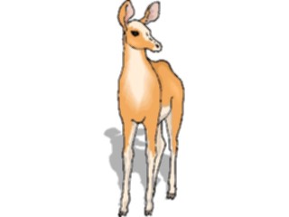 Sticker Custom Preview Image #025046 Animals Land Animals Opaki2