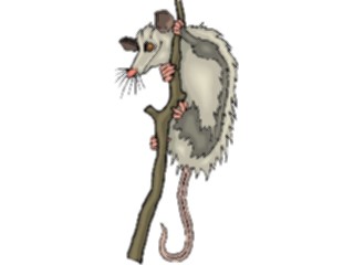 Sticker Custom Preview Image #025048 Animals Land Animals Opossum1