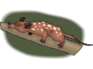 Sticker Custom Preview Image #025049 Animals Land Animals Opossum2