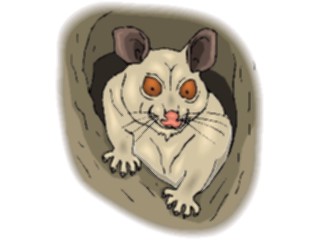 Sticker Custom Preview Image #025050 Animals Land Animals Opossum3