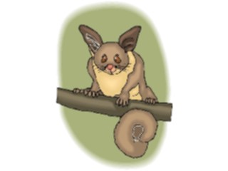 Sticker Custom Preview Image #025052 Animals Land Animals Opossum5