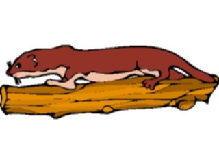 Sticker Custom Preview Image #025056 Animals Land Animals Otter1