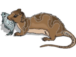 Sticker Custom Preview Image #025059 Animals Land Animals Otter4