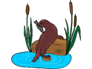 Sticker Custom Preview Image #025060 Animals Land Animals Otterwith Fish1