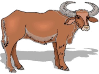 Sticker Custom Preview Image #025063 Animals Land Animals Ox2