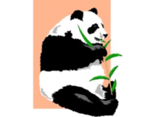 Sticker Custom Preview Image #025065 Animals Land Animals Panda01