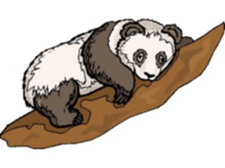 Sticker Custom Preview Image #025073 Animals Land Animals Panda09