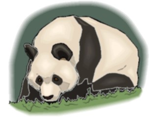 Sticker Custom Preview Image #025074 Animals Land Animals Panda10