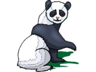 Sticker Custom Preview Image #025075 Animals Land Animals Panda11