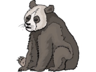 Sticker Custom Preview Image #025076 Animals Land Animals Panda12