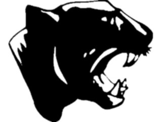 Sticker Custom Preview Image #025079 Animals Land Animals Panther1