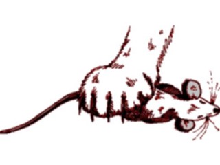 Sticker Custom Preview Image #025088 Animals Land Animals Paw Mouse