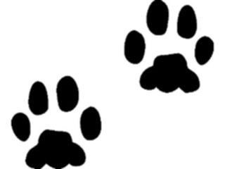Sticker Custom Preview Image #025096 Animals Land Animals Paw Prints7