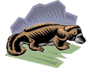 Sticker Custom Preview Image #025100 Animals Land Animals Platypus1