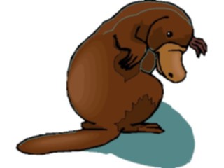 Sticker Custom Preview Image #025101 Animals Land Animals Platypus2