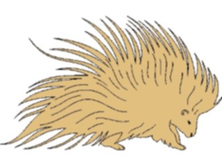 Sticker Custom Preview Image #025103 Animals Land Animals Porcupine1
