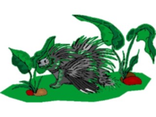 Sticker Custom Preview Image #025108 Animals Land Animals Porcupine6