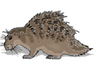 Sticker Custom Preview Image #025110 Animals Land Animals Porcupine8