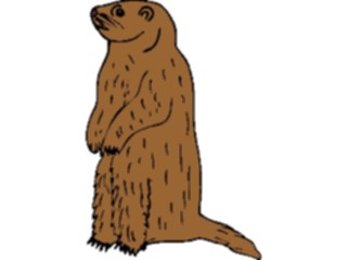 Sticker Custom Preview Image #025113 Animals Land Animals Prairie Dog3