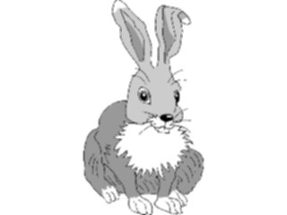 Sticker Custom Preview Image #025120 Animals Land Animals Rabbit03