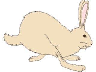 Sticker Custom Preview Image #025121 Animals Land Animals Rabbit04