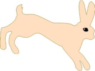 Sticker Custom Preview Image #025123 Animals Land Animals Rabbit06