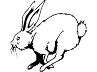 Sticker Custom Preview Image #025125 Animals Land Animals Rabbit08