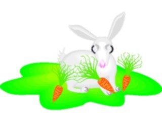 Sticker Custom Preview Image #025130 Animals Land Animals Rabbit13