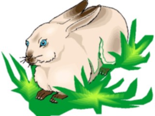 Sticker Custom Preview Image #025134 Animals Land Animals Rabbit17